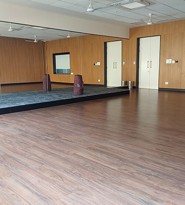 gitam-vskp-fine-and-performing-artis-studio