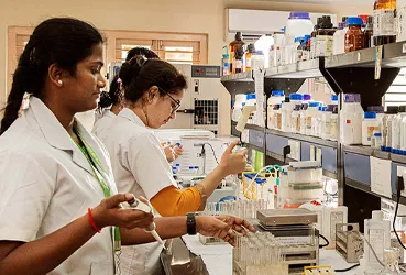 Bachelor of Science in Biochemistry