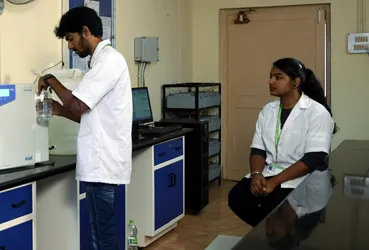 MSc Environmental Science