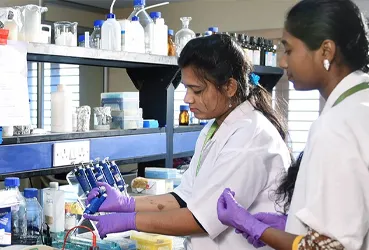 PhD in Biotechnology