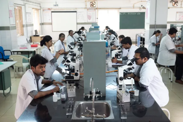 About the Department