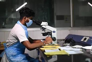 Bachelor of Medical Lab Technology