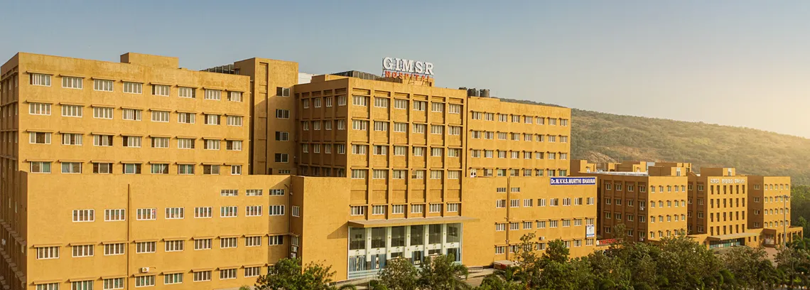 About GIMSR