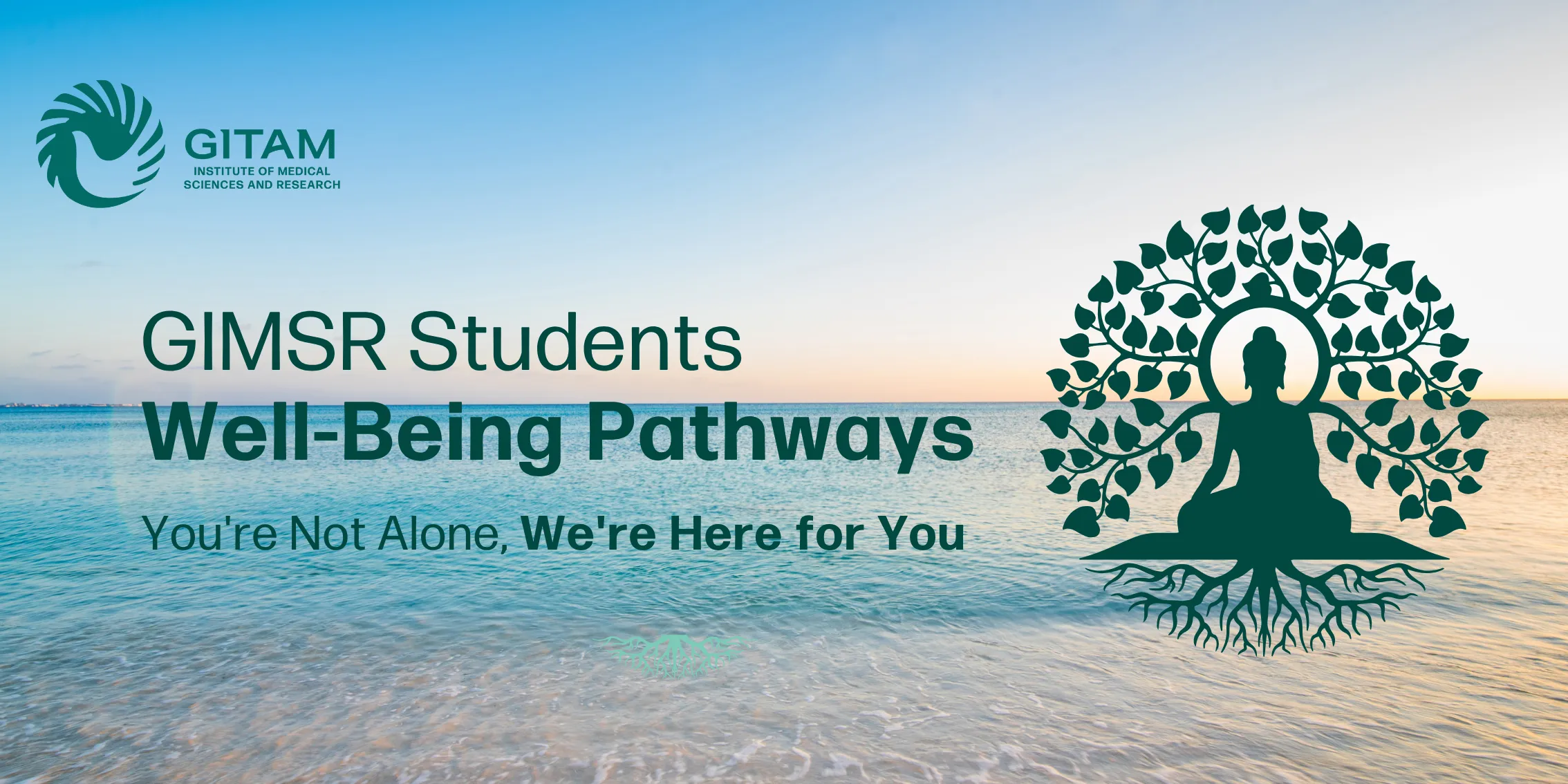 GIMSR Students — Well-Being Pathways
