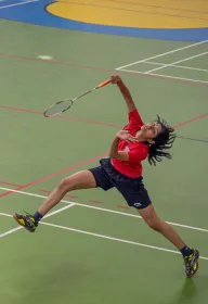 Badminton